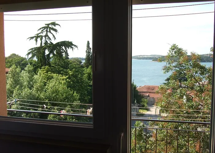 Margerita & 로비니