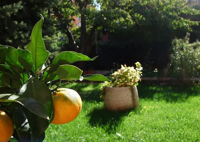 Margerita & 로비니